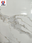 Le marbre donne à la pierre une consistance rugueuse machinée blanche de quartz de Calacatta pour la partie supérieure du comptoir