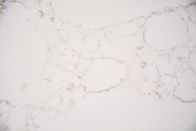 Tableau résistant de pierre de quartz d'éraflure de protection de l'environnement facile de nettoyer anti- Depigment